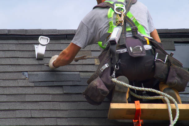 Best Roof Waterproofing Services  in Sebewaing, MI