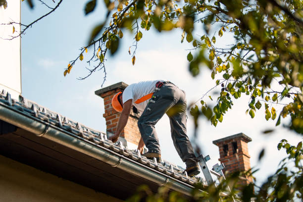 Best Local Roofing Companies  in Sebewaing, MI