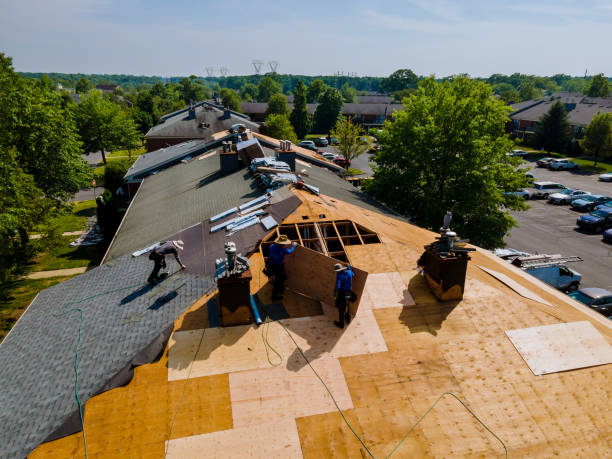 Best Roof Leak Repair  in Sebewaing, MI