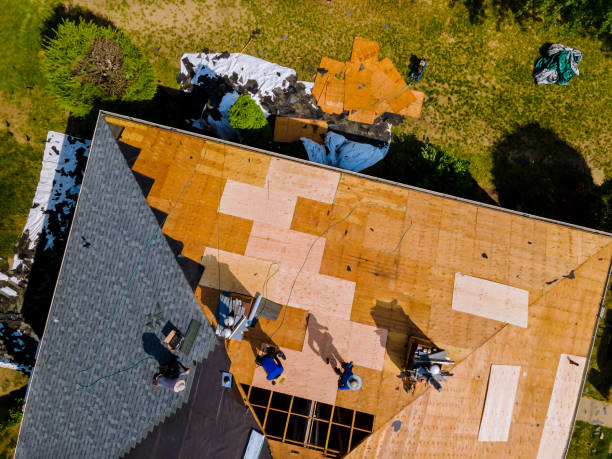 Best Metal Roofing Contractor  in Sebewaing, MI