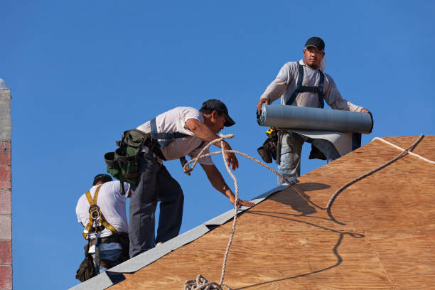 Best New Roof Installation  in Sebewaing, MI