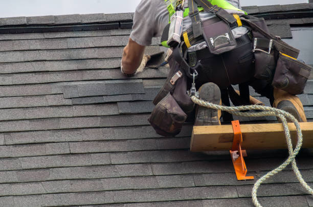 Best Flat Roof Repair Services  in Sebewaing, MI