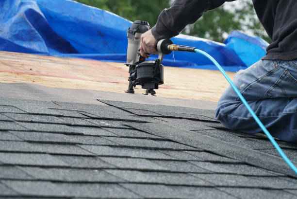 Best Roof Waterproofing Services  in Sebewaing, MI