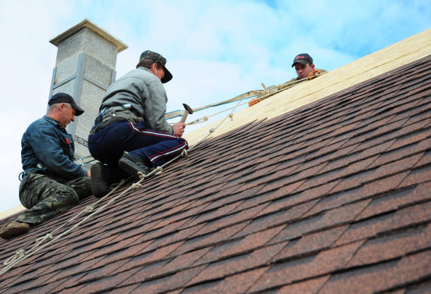 Best Tile Roofing Contractor  in Sebewaing, MI